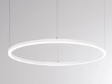 main image of product Molto Luce RIDE RING PD (weiß)