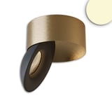 ISOLED LED Aufbauleuchte Sphere gold/schwarz, 2700K, 10W, CRI90, dimmbar