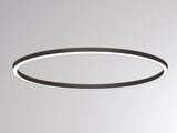 main image of product Molto Luce RIDE RING SD (schwarz)