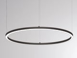 main image of product Molto Luce RIDE RING PD (schwarz)