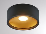 main image of product Molto Luce CARMI SD (schwarz gold)