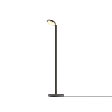 main image of product Grau Parrot Floor Black Brass