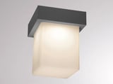 Molto Luce FYNN-O SD (anthrazit)