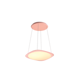 main image of product Grau Flying Rose