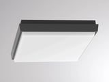 Molto Luce SOPO SQUARE M SD (anthrazit)