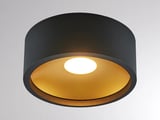 Molto Luce CARMI SD (schwarz gold)