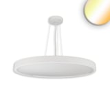 main image of product ISOLED LED Hängeleuchte UGR