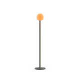 Grau Fire Floor Black Brass