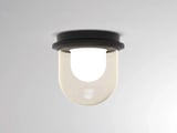Molto Luce PILLE SINGLE M SD (schwarz/champagner)