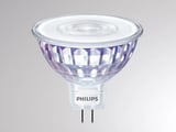 main image of product Molto Luce MASTER LEDSPOT (weiß)