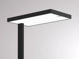 main image of product Molto Luce SYSTEM 01.1 F (schwarz)