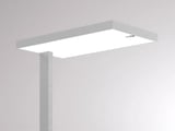 Molto Luce SYSTEM 01.1 F (grau)