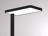 main image of product Molto Luce SYSTEM 02.1 F (schwarz)