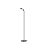 Grau Parrot Floor Black Brass