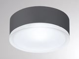 Molto Luce MENTO M SD (anthrazit/weiß)