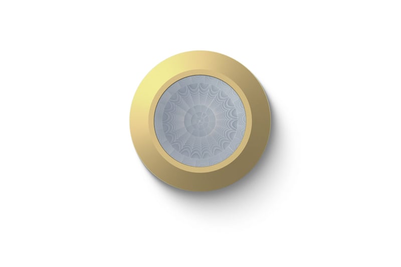 productVideoTitle