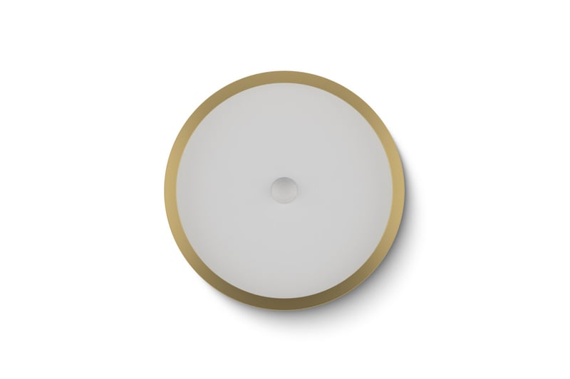 productVideoTitle
