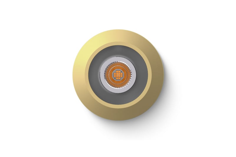 productVideoTitle