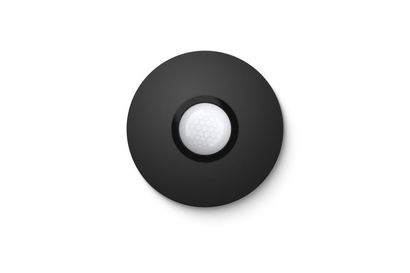 productVideoTitle