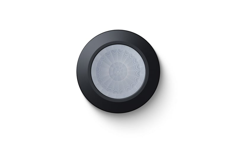 productVideoTitle