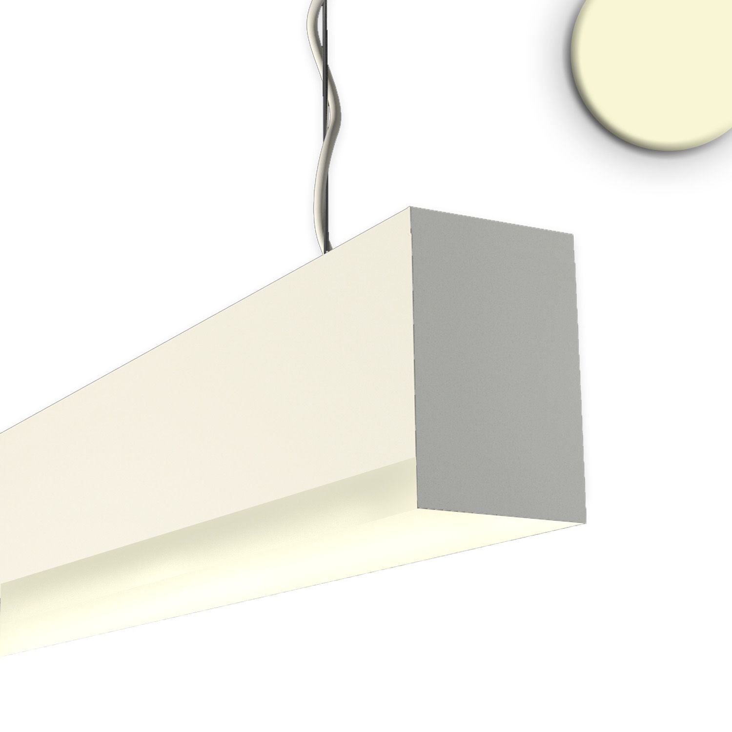 ISOLED PROLAMP 30Hcri90hm Pendel 19W weiß, 600mm, U-Cover, 3000K - 1