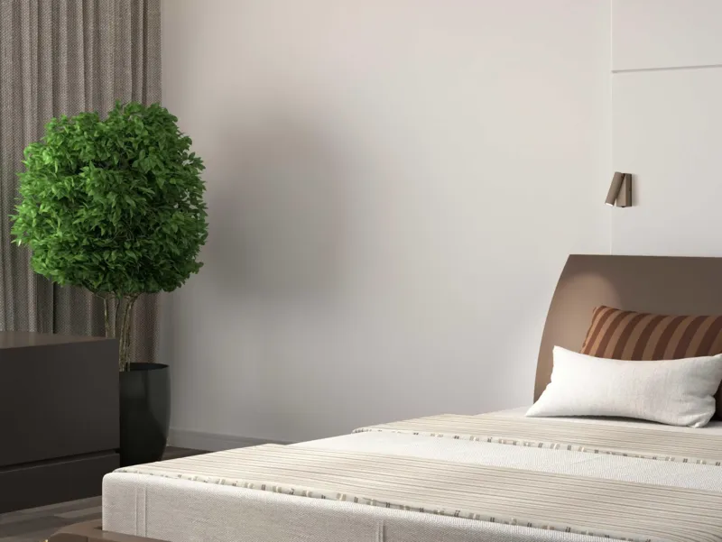 Molto Luce ANIO W (schwarz) - Produktbild 3