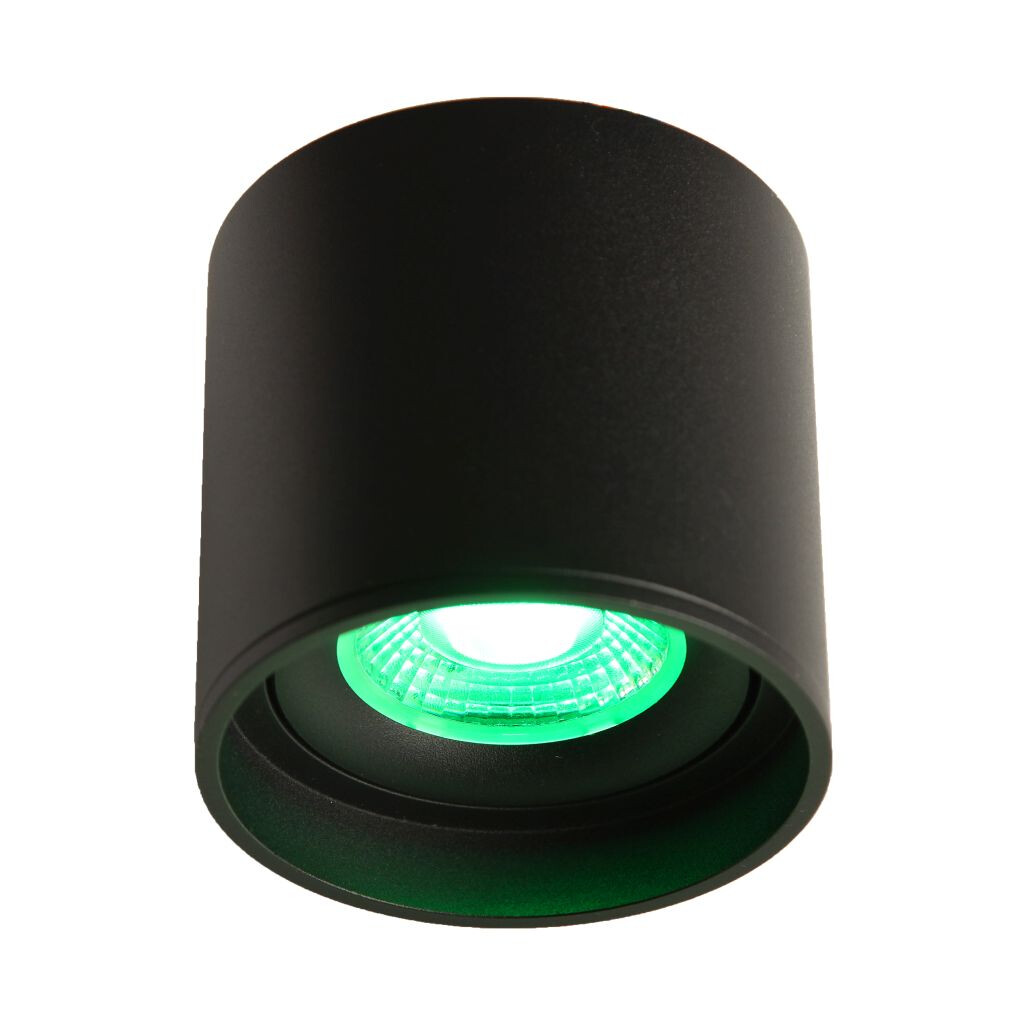 Emilum LED Ceiling Spot 24V, 8W, RGBW/2700K, CRI90 Schwarz Emilum LED Ceiling Spot 24V, 8W, RGBW/2700K, CRI90 Schwarz - Produktbild 1