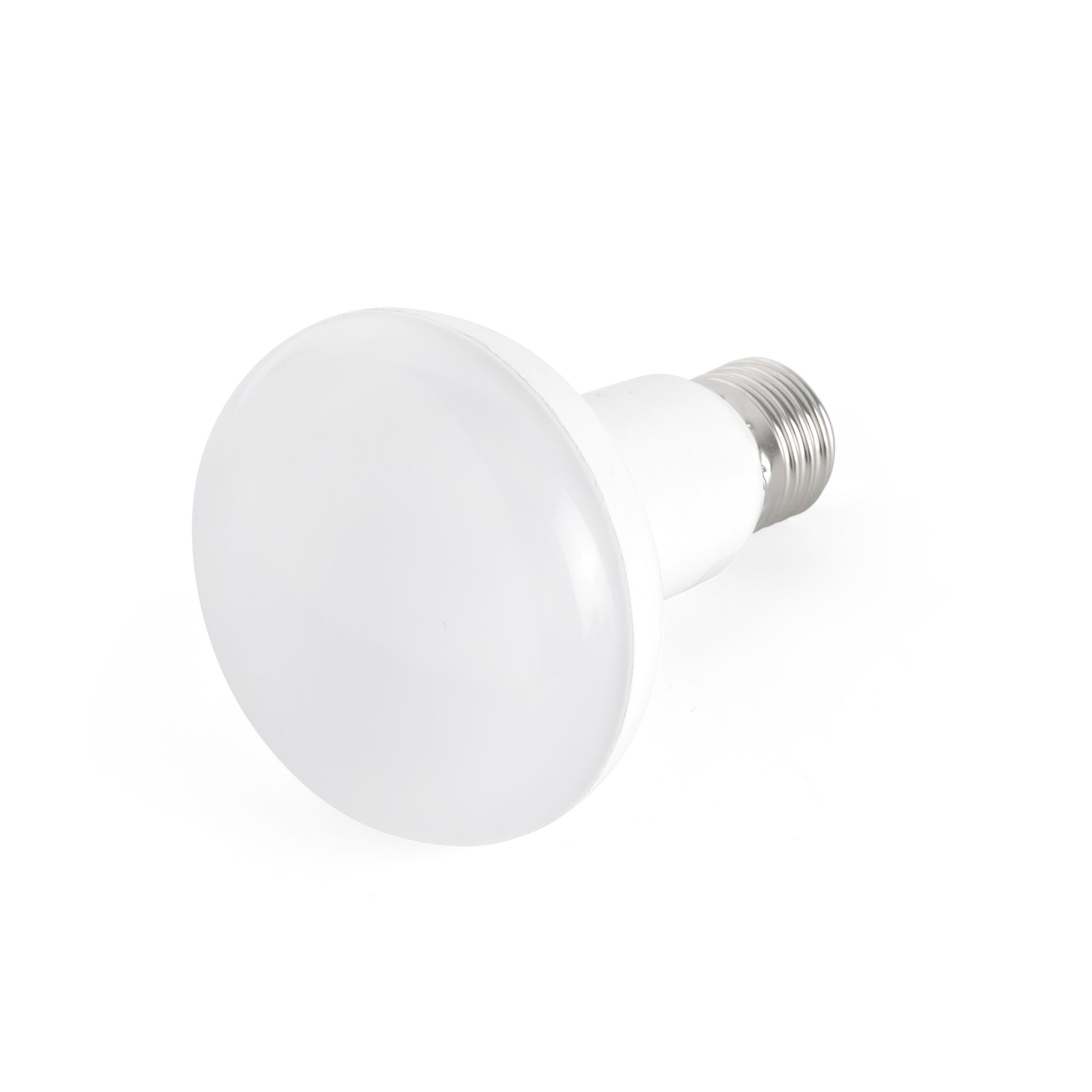 Faro Glühbirne R80 E27 12W LED 2700K Faro Glühbirne R80 E27 12W LED 2700K - Produktbild 1