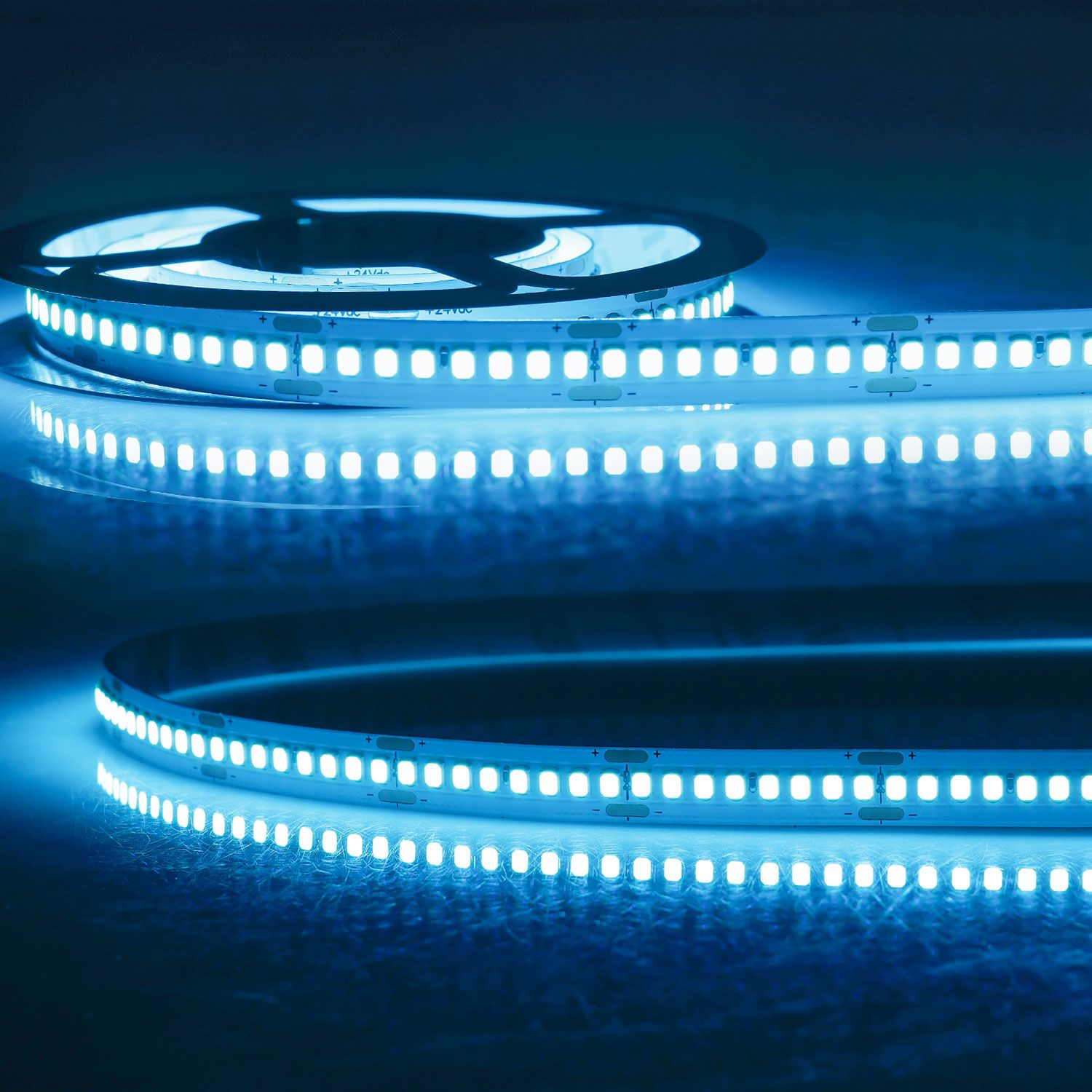 ISOLED LED HEQ Skyblue Flexband, 24V DC, 22W, IP20, 5m Rolle, 240 LED/m ISOLED LED HEQ Skyblue Flexband, 24V DC, 22W, IP20, 5m Rolle, 240 LED/m - 1