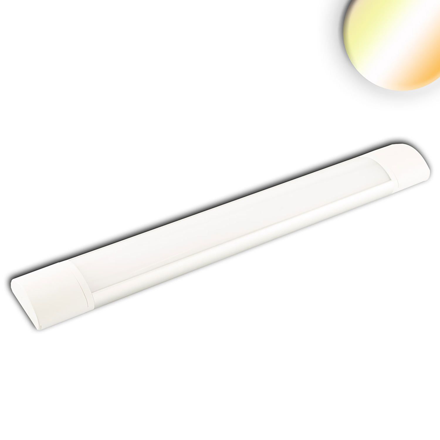 ISOLED LED Aufbauleuchte 60cm, 20W, IP42, Color Switch 3000|3500|4000K - 1