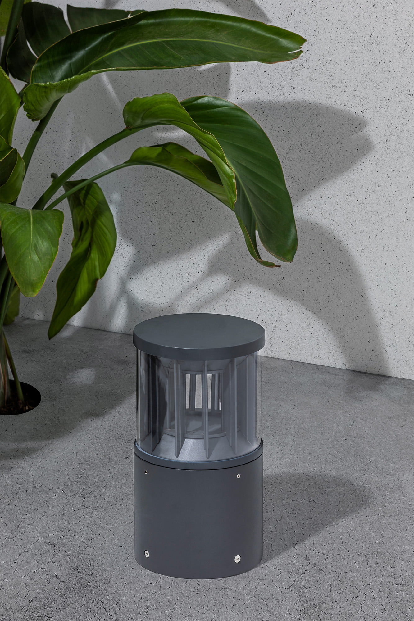 Faro SCREEN 800 Dunkelgraue Signallampe 2700K 360º. - 4