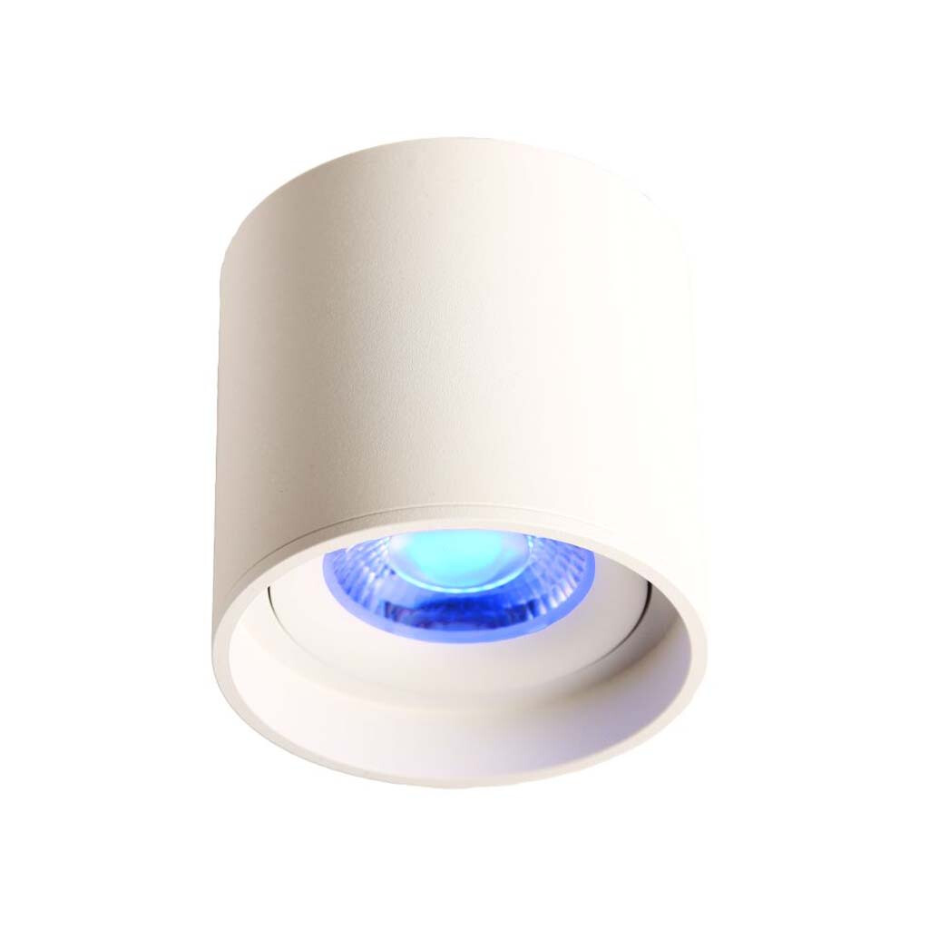 Emilum LED Ceiling Spot 24V, 8W, RGBW/3000K, CRI90 Weiß - 2