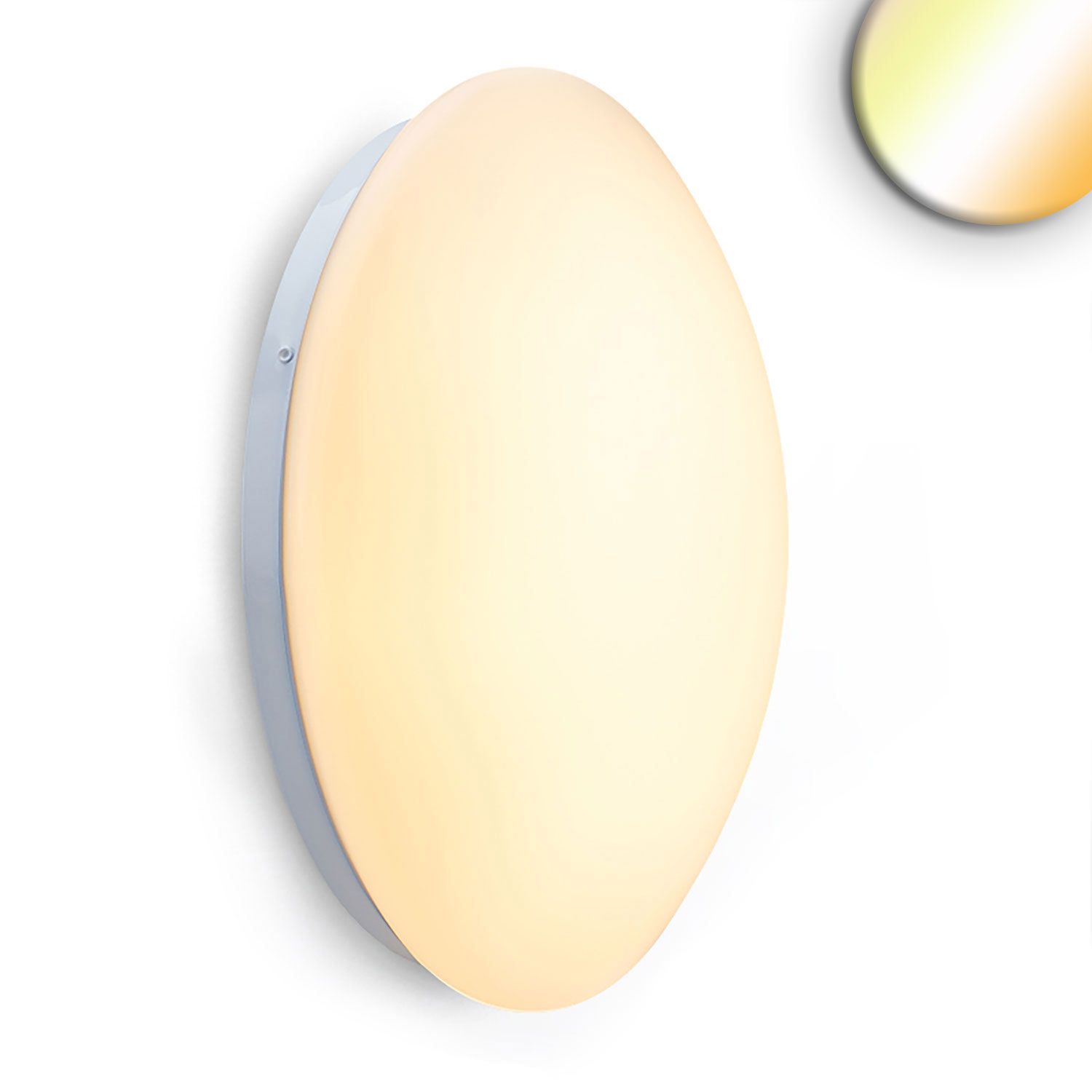 ISOLED LED Decken/Wandleuchte weiß, rund, 18W, DN340, IP42, ColorSwitch 2700|3000|4000K - 1