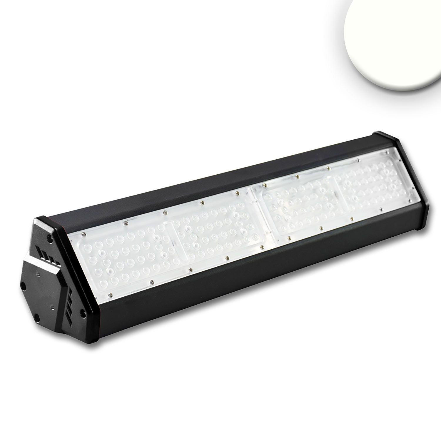 ISOLED LED Hallenleuchte LN 100W, 30°x70°, IK10, IP65, 1-10V dimmbar, neutralweiß - 1