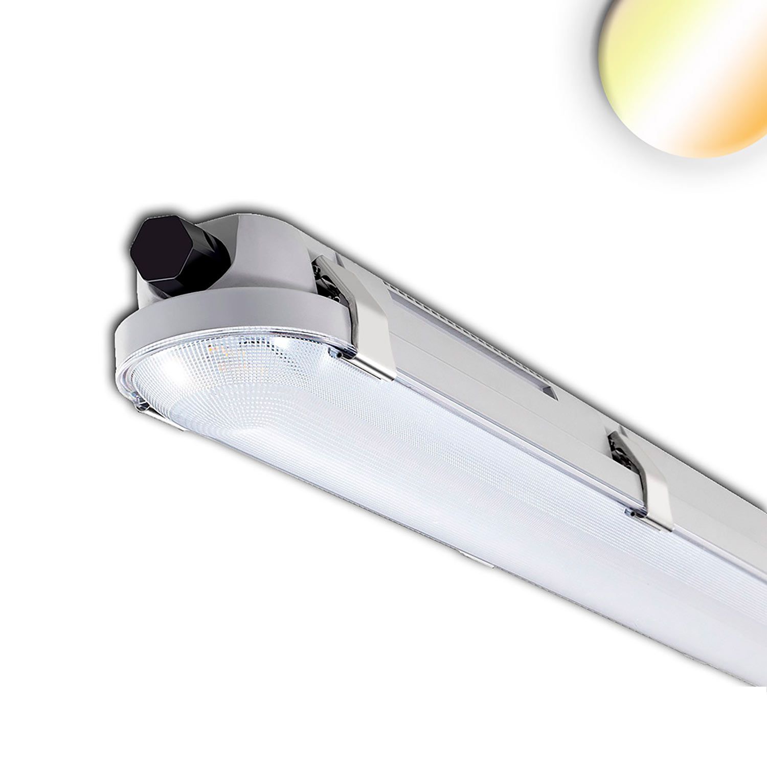 ISOLED LED Wannenleuchte 120cm, IP65, PowerSwitch 25-40W, ColorSwitch 3000|4000|5000K - 1
