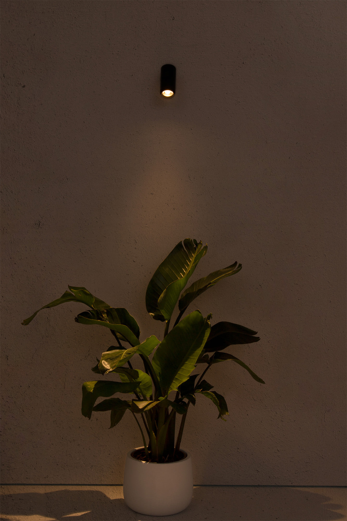 Faro PLOM Dunkelgraue Projektorlampe - 2
