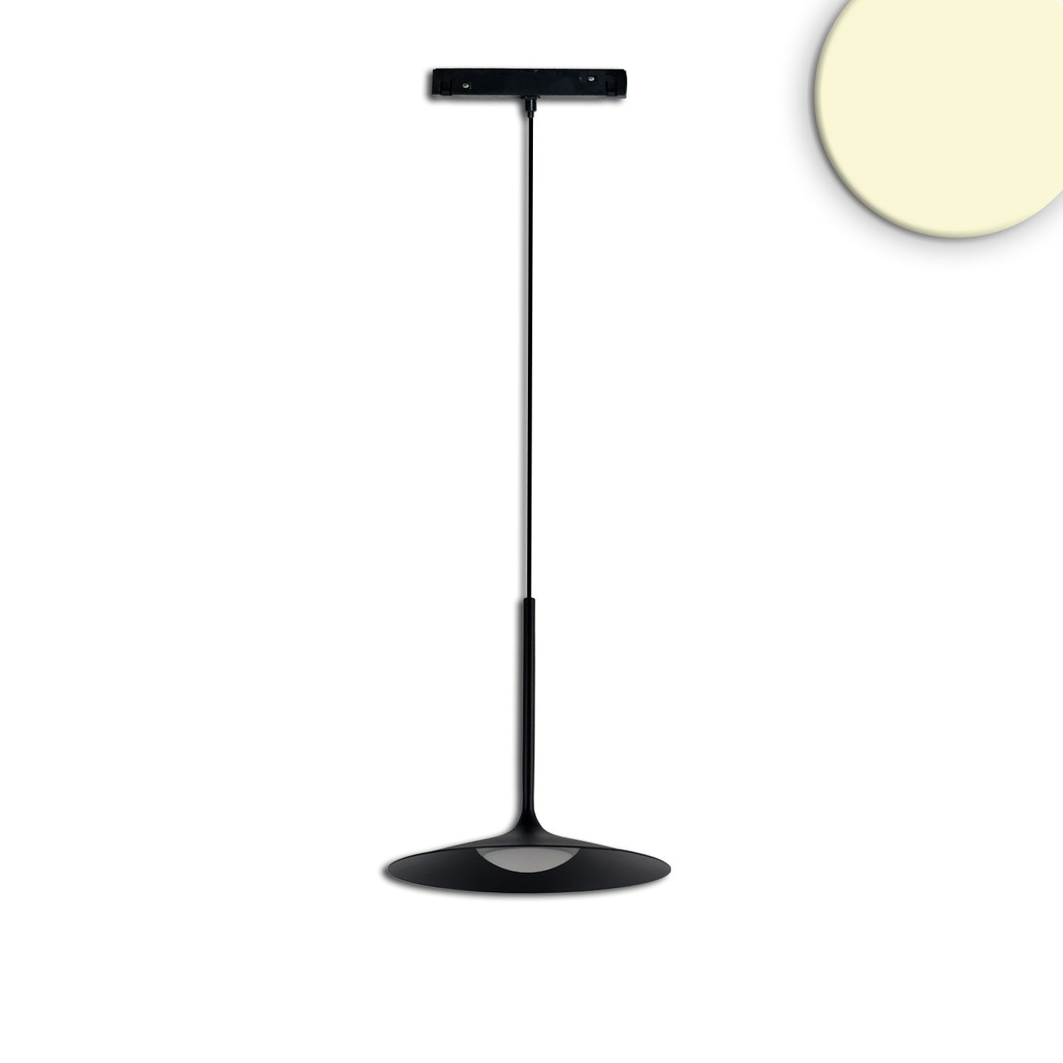 ISOLED Track48 Hängeleuchte Shade 5,5W, 120°, 48V DC, schwarz, 3000K - 1