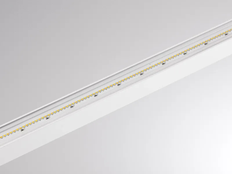 Molto Luce PERFORA PROLINE M PDI (weiß) - 6