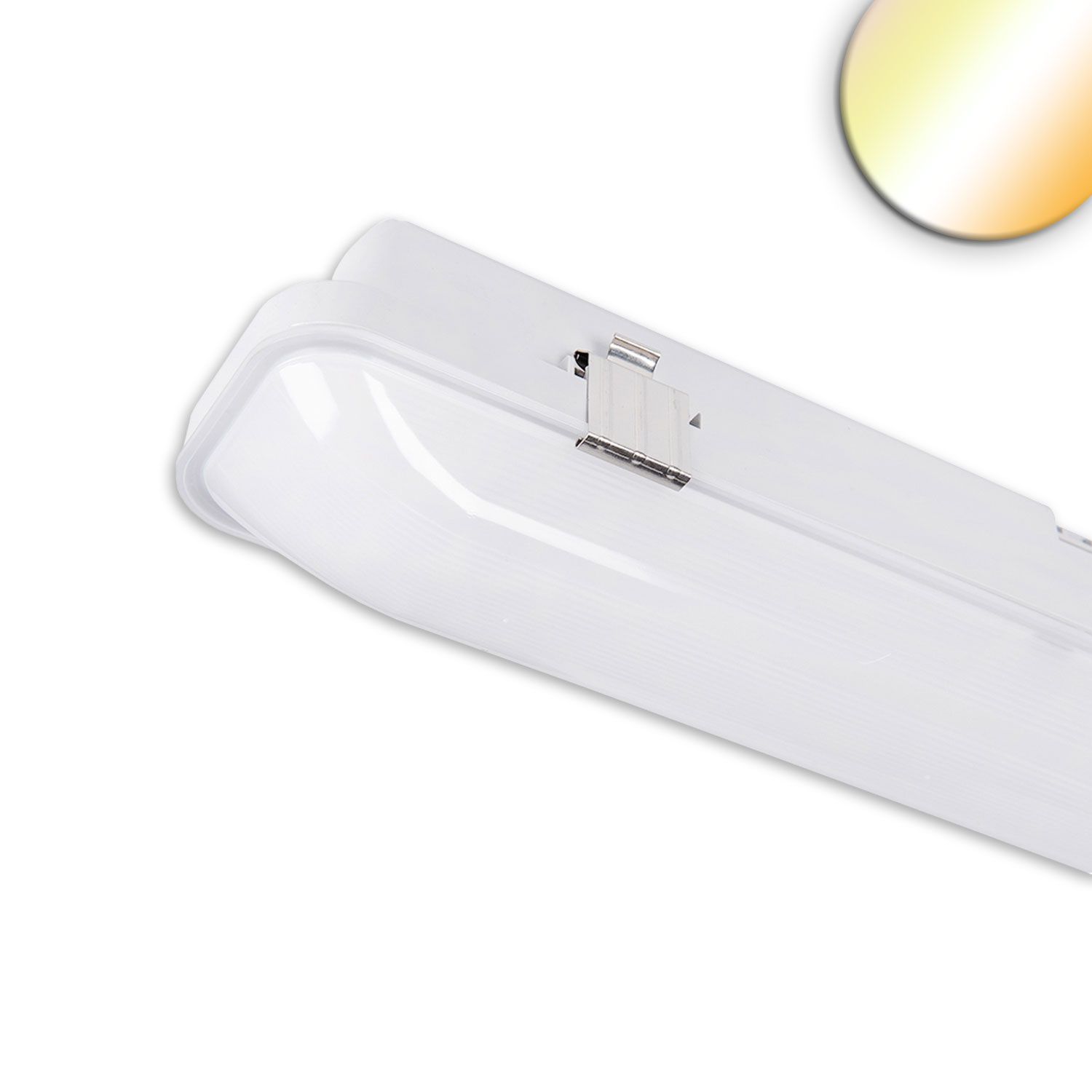 ISOLED LED Wannenleuchte SL 60cm, IP66, PowerSwitch 14-20W, 140lm/W, ColorSwitch 3000|4000|5700K - 1