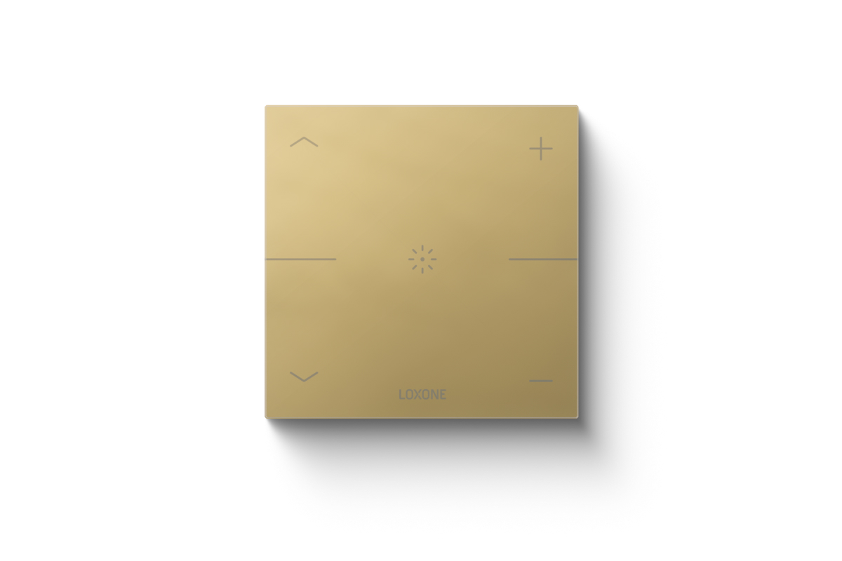 productVideoTitle