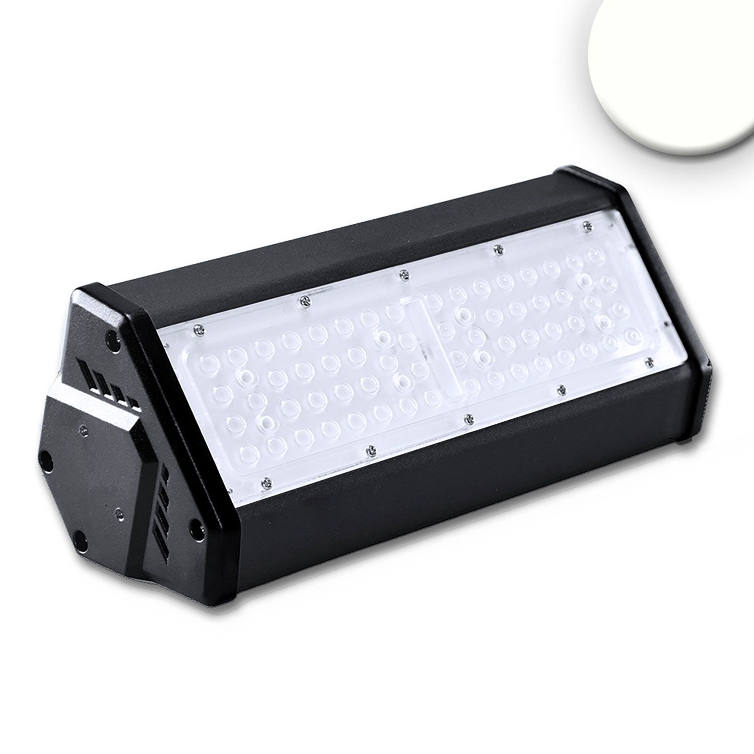 ISOLED LED Hallenleuchte LN 50W, 60°, IK10, IP65, 1-10V dimmbar, neutralweiß - 1