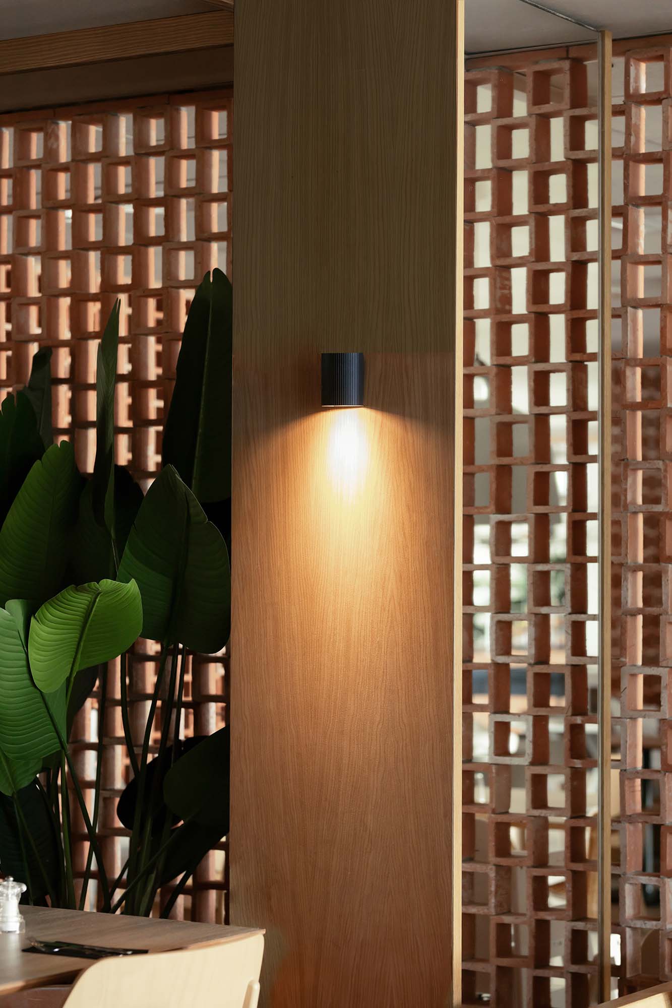 Faro SOLE Runde Wandleuchte schwarz - Produktbild 2