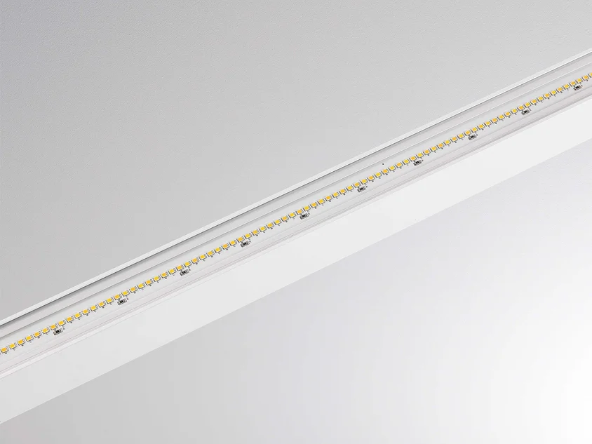 Molto Luce Perfora Proline Xl PDI (Weiß) - 5