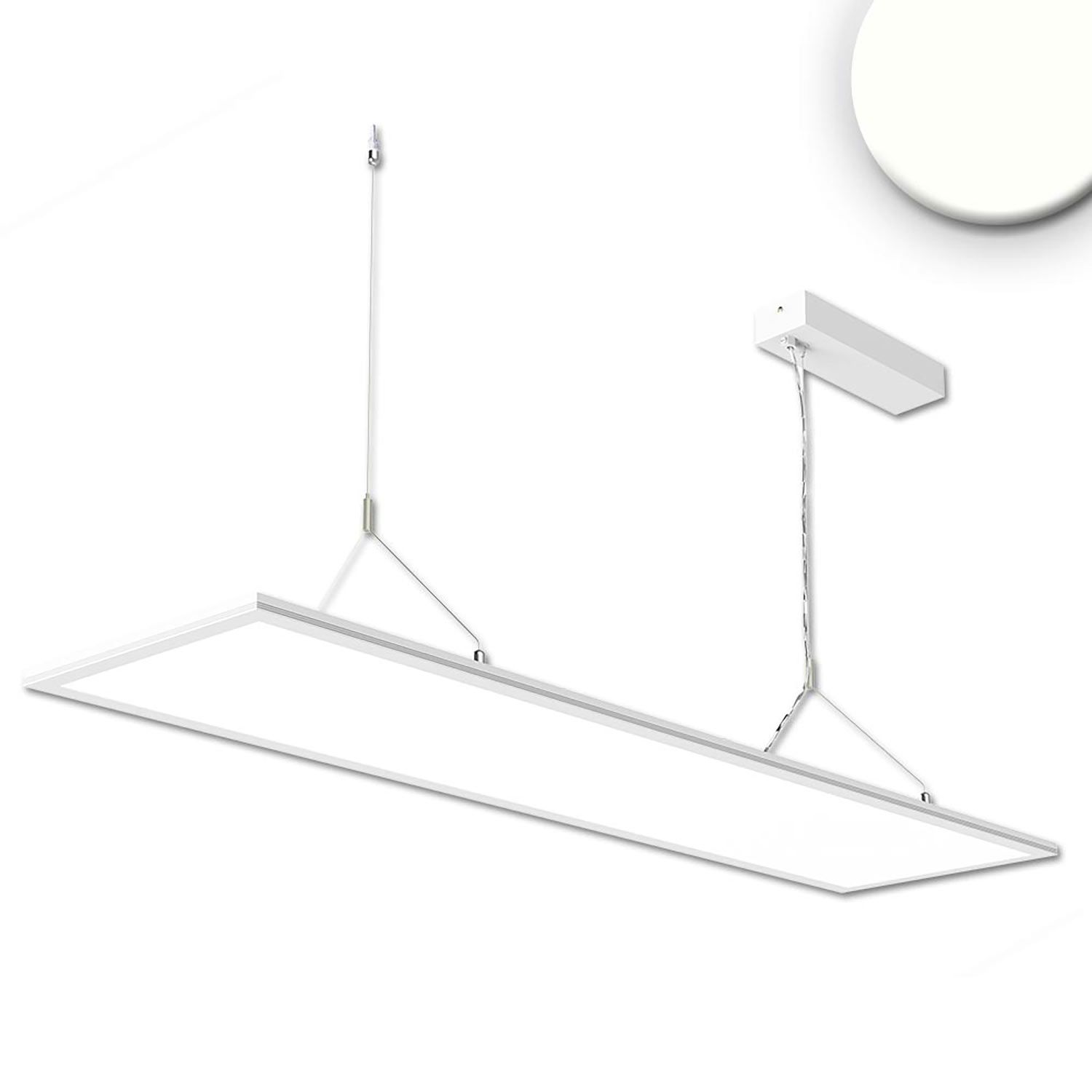ISOLED LED Office Hängeleuchte Up&Down, 20W+20W, 30x120cm, weiß, UGR ISOLED LED Office Hängeleuchte Up&Down, 20W+20W, 30x120cm, weiß, UGR