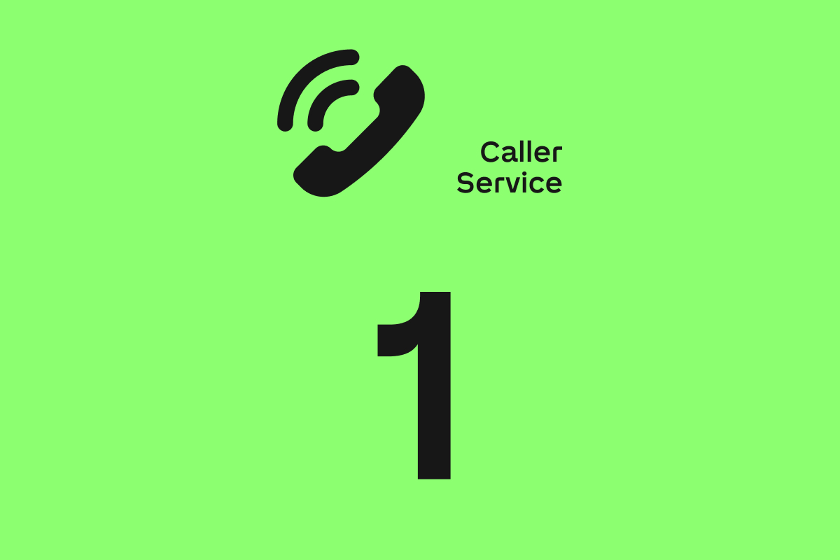 Loxone Caller Service 1 Jahr - 1
