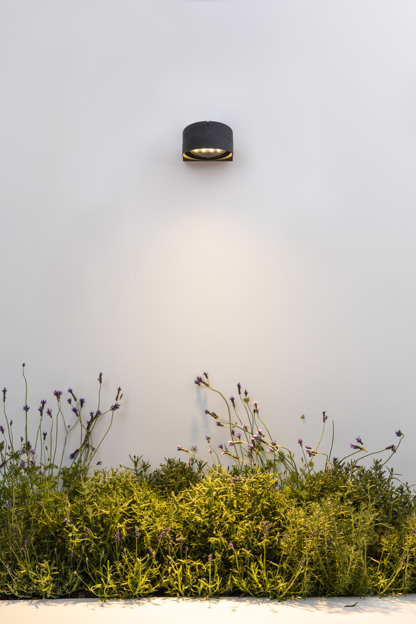 Faro MUUR 250 Dunkelgraue Projektorlampe - 4