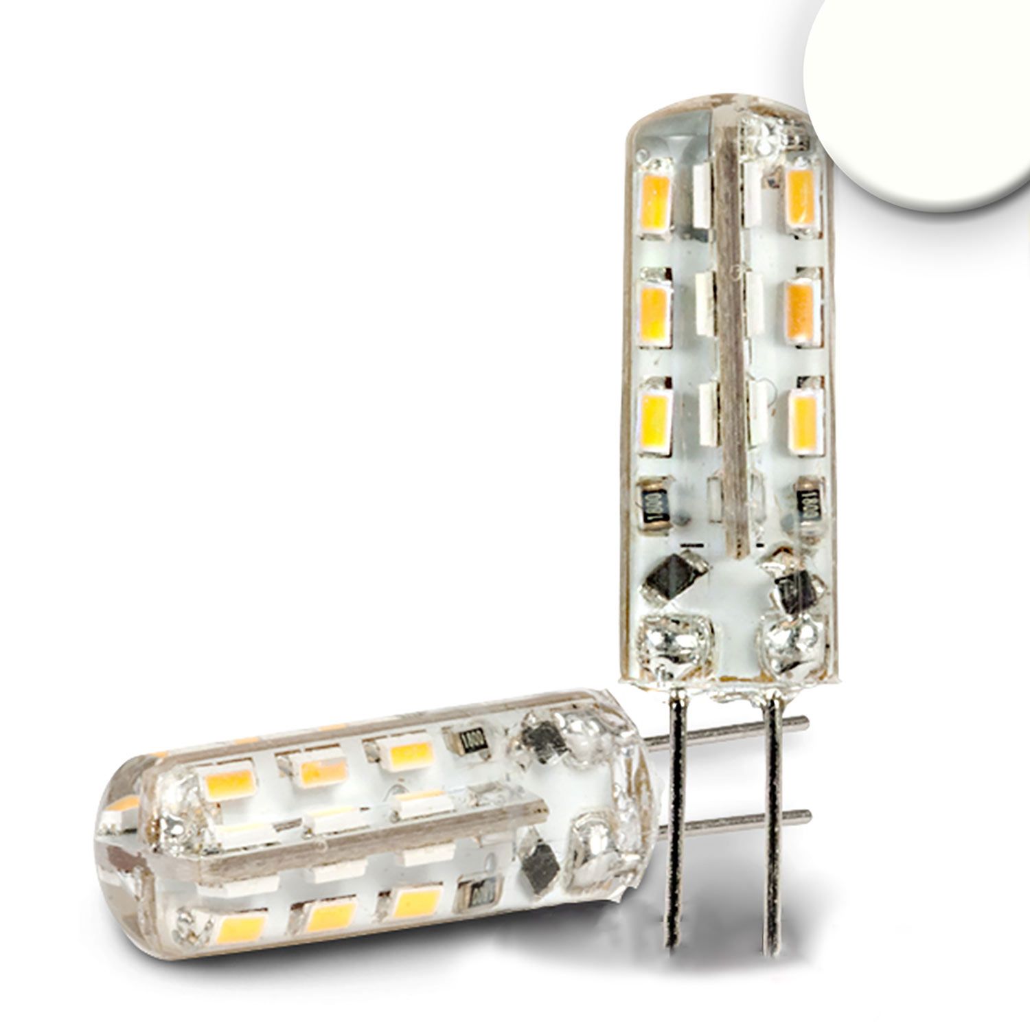 ISOLED G4 LED 48SMD, 2W, vergossen, neutralweiß - 1