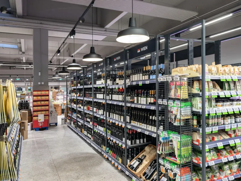 Molto Luce TRAIL ARTIS 1 (schwarz) - Produktbild 3