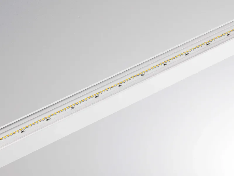 Molto Luce PERFORA PROLINE XL PDI (weiß) - 4