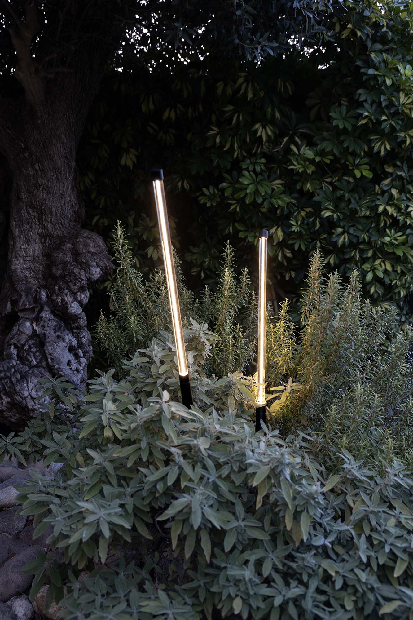 Faro BAMBOU 1068 Stablampe schwarz - 2
